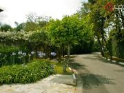 Casa com 3 dormitórios à venda, 600 m² por R$...