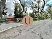 Casa com 3 dormitórios à venda, 604 m² por R$...