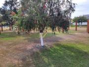 Casa com 3 Quartos, 121 m² Venda por R$ 950.000 ou...