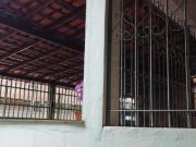Casa com 3 quartos à venda em Belo Horizonte, no bairro...