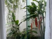 Casa com 3 quartos à venda em Belo Horizonte, no bairro...