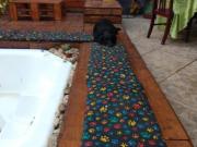 Casa com 3 quartos à venda em Belo Horizonte, no bairro...