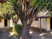 Casa com 3 quartos à venda em Betim, no bairro São Luiz