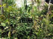 Casa com 3 quartos à venda em Varginha, no bairro Parque...