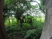 Casa com 3 quartos à venda em Varginha, no bairro Vila...