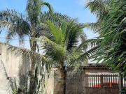 Casa com 3 quartos e jardim em Itanhaém