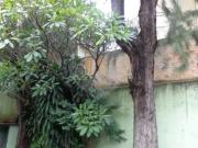 Casa com 3 quartos para locaÃ§Ã£o em Vila Mariana SP