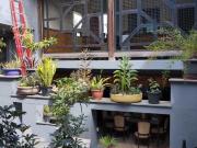 CASA COM 442 M2 DE AREA CONSTRUIDA