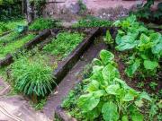 Casa à venda, 191 m² por R$ 2.400.000,00 Albuquerque...