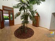 Casa com 4 dormitórios, 476 m² venda por R$ 5.000.000,00...