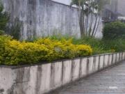 Casa com 4 dormitórios à venda, 110 m² por R$...