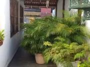 Casa com 4 dormitórios à venda, 180 m² por R$ 750.000,00...