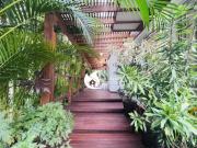 Casa com 4 dormitórios à venda, 225 m² por R$...