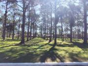 Casa com 4 dormitórios à venda, 300 m² por R$...