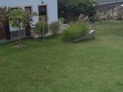 Casa com 4 dormitórios à venda, 420 m² por R$...