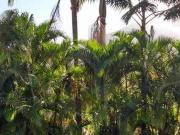 Casa com 4 dormitórios à venda, 530 m² por R$...