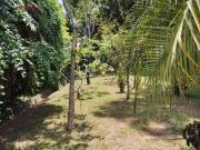 Casa com 4 dormitórios à venda, 560 m² por R$...