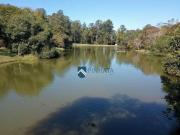 Casa com 4 dormitórios à venda, 619 m² por R$...