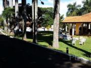 Casa com 4 dormitórios à venda, 974 m² por R$...