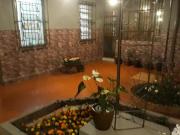 Casa com 4 quartos à venda em Belo Horizonte, no bairro...