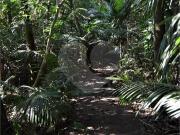 Casa com 4 quartos à venda em Colônia zona Sul SP