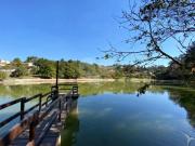 Casa com 4 quartos à venda em Palos Verdes SP