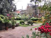 Casa com 4 quartos à venda em Vila Veranópolis RS