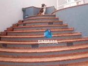 Casa com 4 quartos à venda no Caminhos de San Conrado...