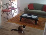 Casa com 5 dormitórios à venda, 168 m² por R$ 1.500.000...