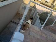 Casa com 5 dormitórios à venda, 332 m² por R$...