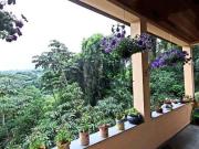 Casa com 5 dormitórios à venda, 400 m² por R$...