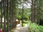 Casa com 5 dormitórios à venda, 400 m² por R$...