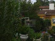 Casa com 5 dormitórios à venda, 700 m² por R$...