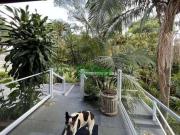 Casa com 5 dormitórios à venda, 804 m² Chácara Granja...