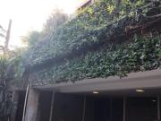 Casa com 5 quartos à venda em Belo Horizonte, no bairro...