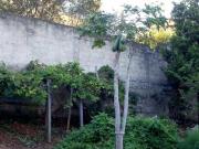 Casa com 5 quartos à venda em Betim, no bairro Jardim...