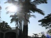 Casa com 5 quartos à venda em Jardim Guedala SP