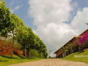 Casa com 6 suítes à venda, por R$ 13.500.000 Fazenda da...