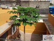 Casa com 8 dormitórios à venda, 200 m² por R$ 780.000,00...