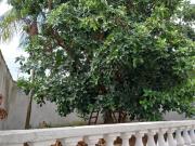 CASA COM ACONCHEGO DE UMA CHÁCARA EM BRAGANÇA PAULISTA