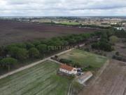 Casa com armazém e terreno de 2 ha