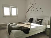 Casa com pátio soalheiro em Coimbra