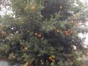 Casa comercial 455m² Itaim Bibi Venda/Locação