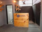 Casa comercial carmo