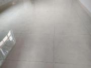 Casa Comercial/Residencial – Vila Industrial, Anápolis/GO