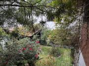 Casa como Terreno Av. San Borja Norte fte/parque Ideal...