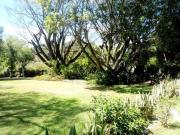 Casa con 3600 m² de terreno, 4 recámaras en venta, Las...