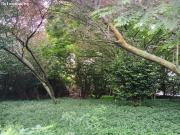 Casa con finca en San Juan, Ferrol