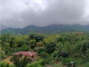 CASA CON LOTE EN COMBIA