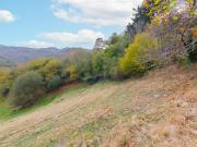 CASA CON PARCELAS EN PILOÑA